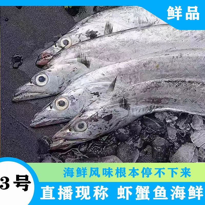 （现场称重3号）浙江舟山野生海钓鱼、虾、蟹1500克左右/份