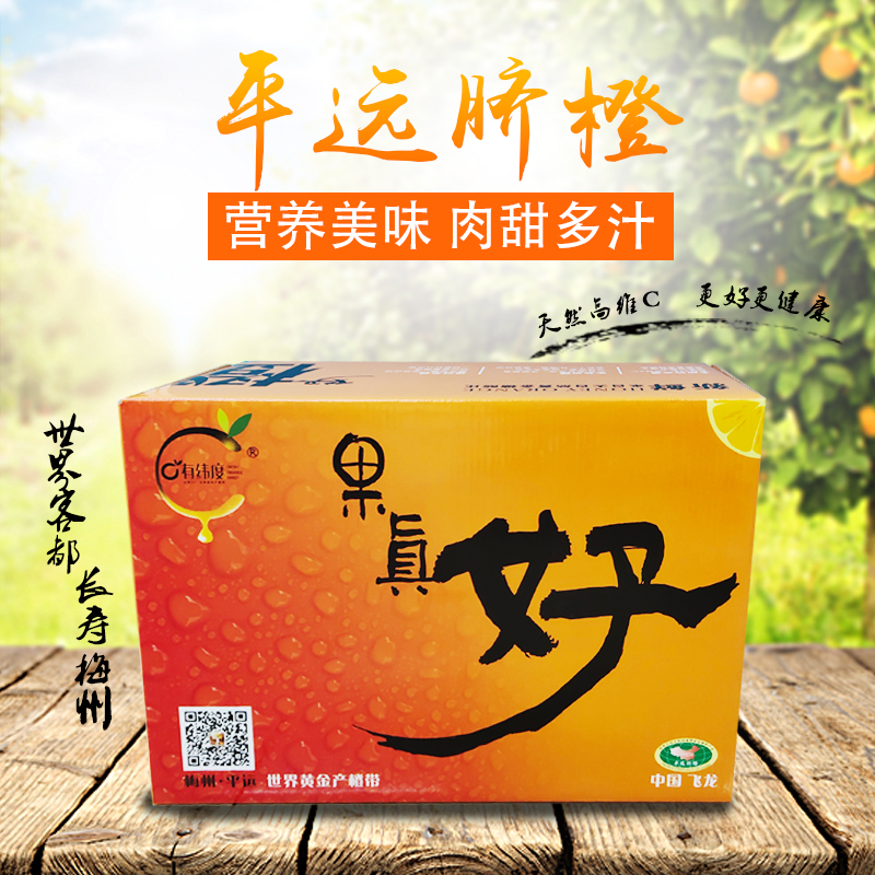 精选广东橙乡10斤果真好正宗平远脐橙富含维C香甜多汁应季水果