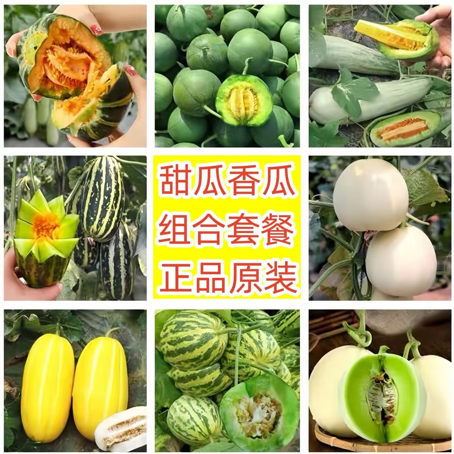 水果黄瓜种子长黄瓜肉丝瓜长丝瓜小冬瓜种籽庭院阳台蔬菜种子瓜种