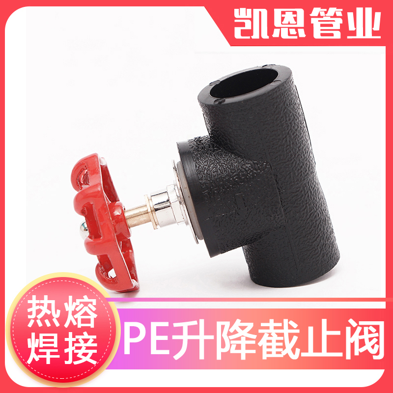 pe给水管开关升降截止阀热熔焊接阀门pe管件pe管接头自来水管配件