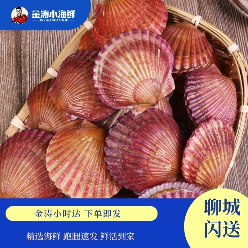 【小时达】鲜活扇贝 2斤