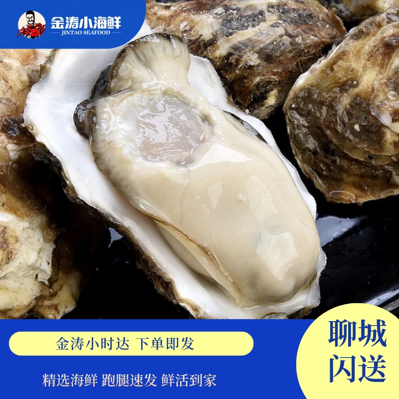 【小时达】3鲜活乳山生蚝 1斤