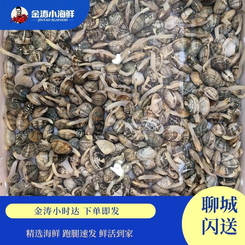 【小时达】鲜活红岛花蛤 1斤