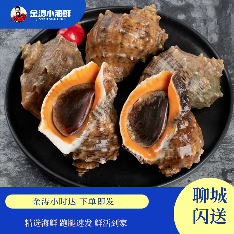 【小时达】鲜活海螺 1斤 （小的）
