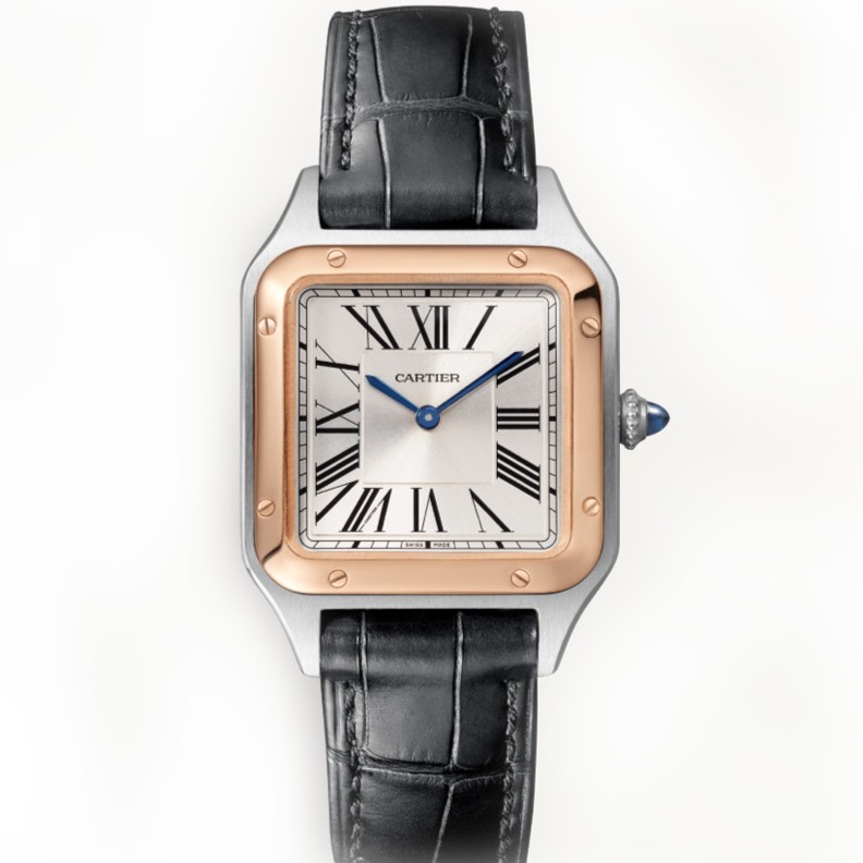 99新 Cartier/卡地亚 山度士W2SA0012间金小号时尚石英大全套