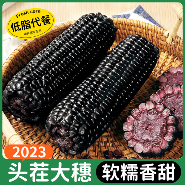 【精选】黑糯玉米均重200克/5/8支/营养新鲜五谷粗粮发【10支】
