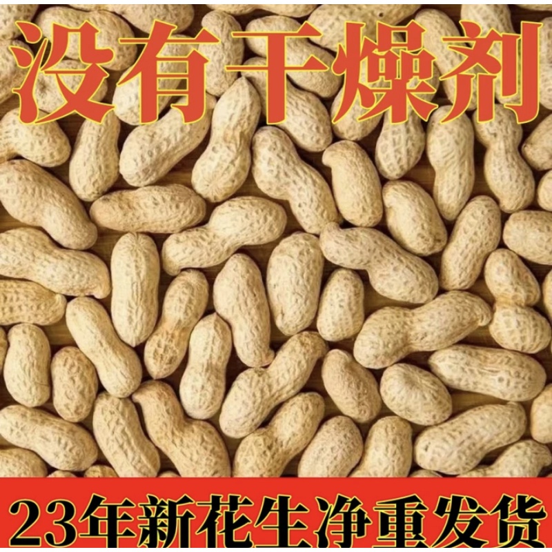 新货原味熟花生现卖正宗铁锅柴火炒花生带壳正常皮不放干燥剂美味