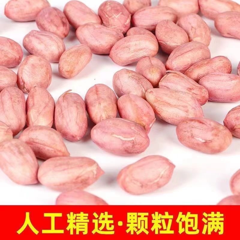 2023新鲜大白沙花生米食用粉皮花生仁大颗粒白沙花生米100-2500克