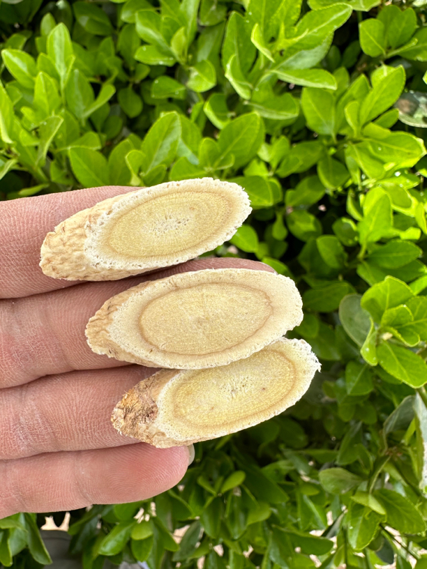 岷县黄芪三年主根切片，新货无硫，煲汤泡水食用泡酒