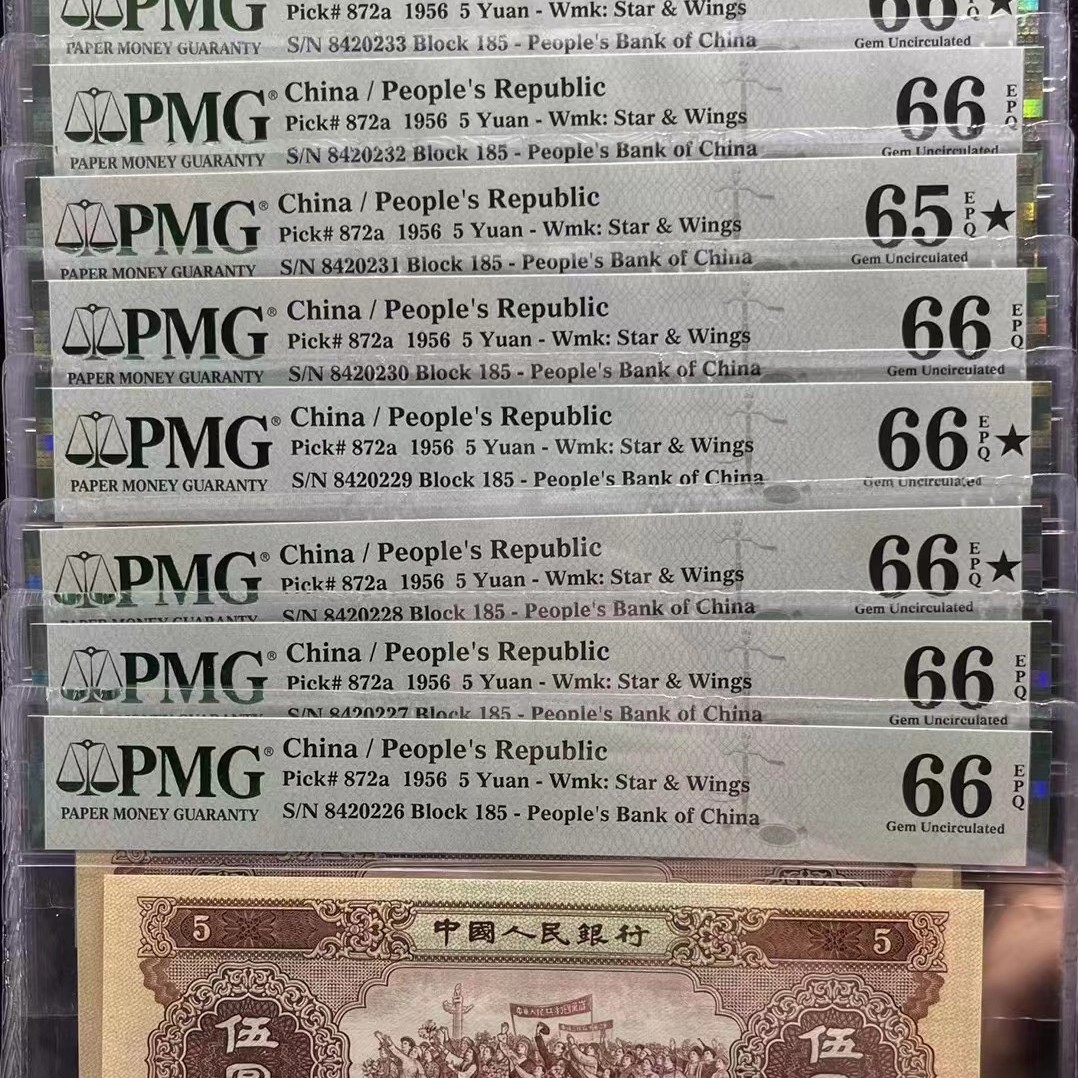 第二套人民币海鸥伍元震撼十联PMG含65、66大黑星大珍难得一见