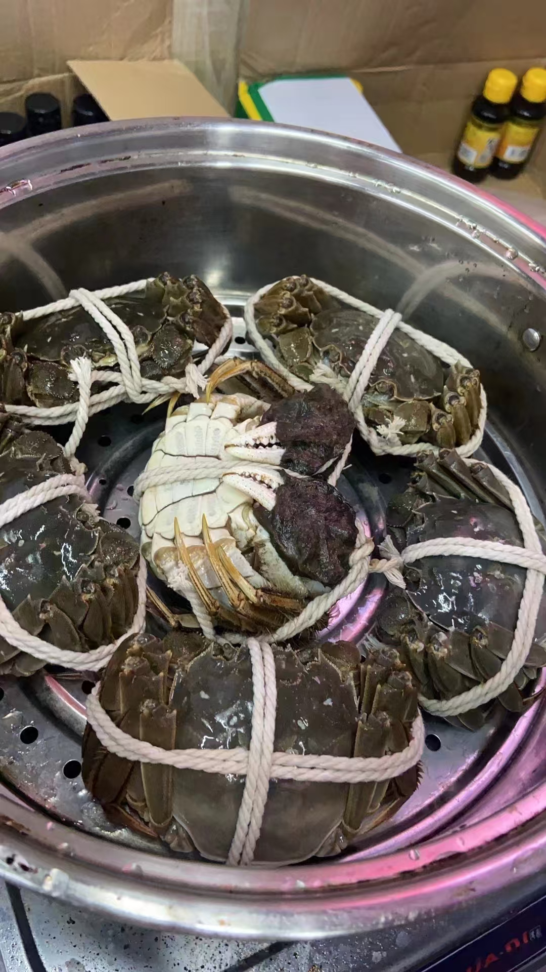 【配送到家】拍10只送1只鲜活   单只1.4-1.7两    18母大闸蟹