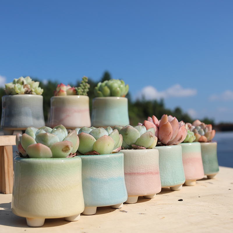 新款多肉花盆陶瓷流釉冰裂透气法师小群生办公室桌面绿植盆栽花器