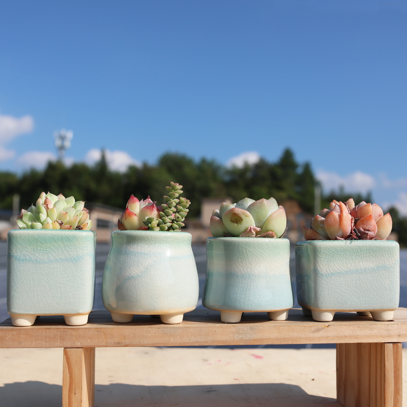 多肉花盆可爱简约桌面创意个性冰裂流釉彩虹渐变色拇指盆方形小盆