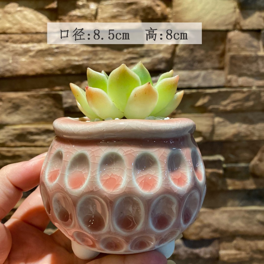 印章糖果色多肉花盆猫眼个性冰裂流釉创意浮雕小清新多肉花盆批发