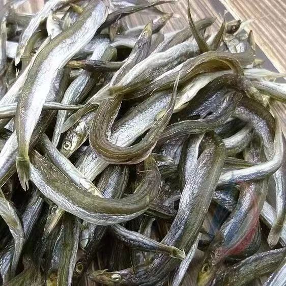 小号油滚子鱼干 银鱼 海鲜 水产干货  500g 包邮