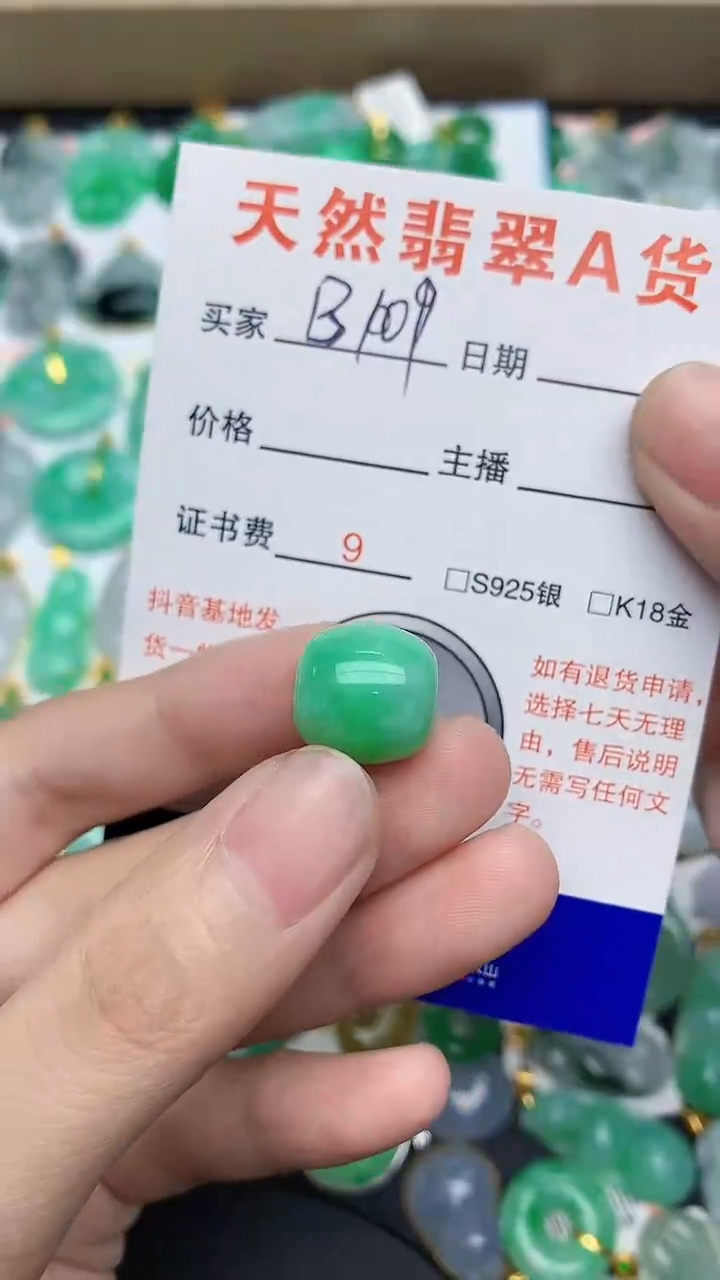 【闪购商品】翡翠颈饰未镶嵌1