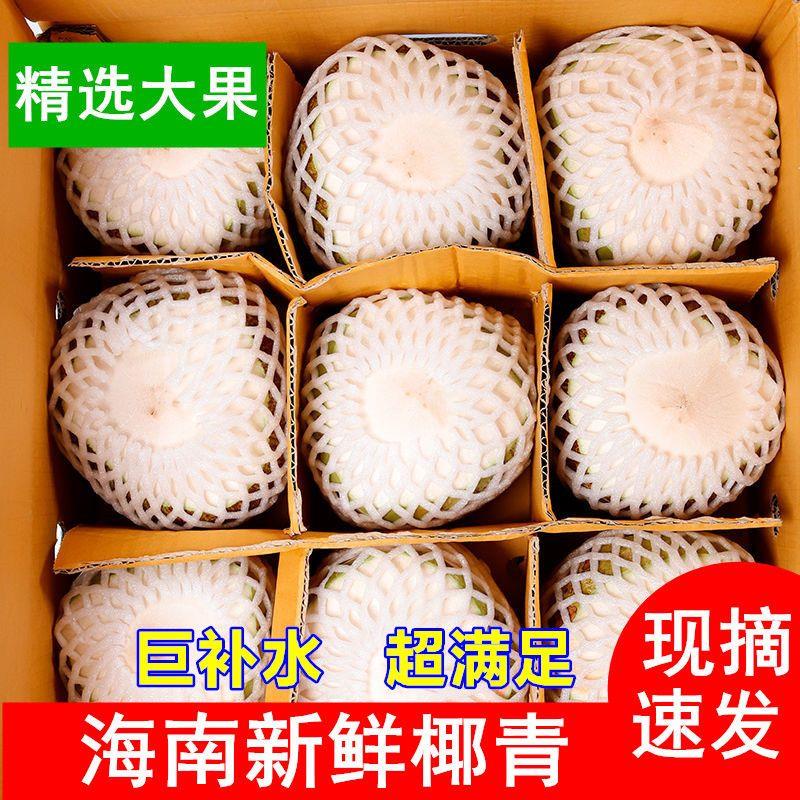 海南椰青新鲜椰子水果孕妇应季文昌热带特产现摘特产2/4/6/9个装