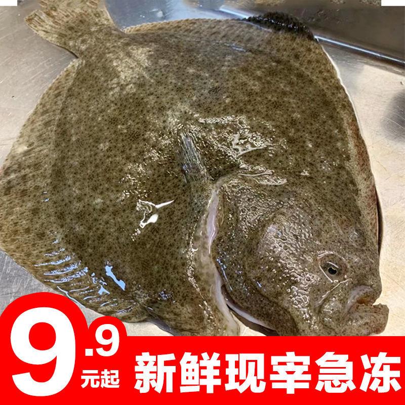 鲜活多宝鱼新鲜比目鱼大菱鲆野生海鲜鱼类批发包邮水产冷冻海鲜