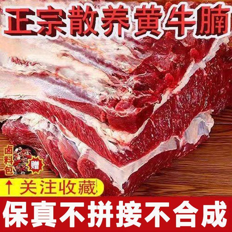 【顺丰十斤整块原切】新鲜牛腩内蒙古正宗黄牛肉五斤国产鲜牛肉
