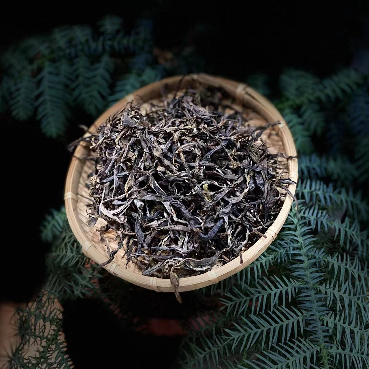 2023年 云南省冰岛茶区  糯伍古树 晒青毛茶   古树纯料散茶50g