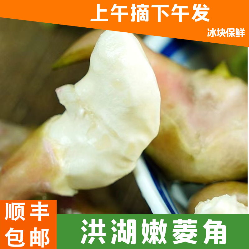 洪湖嫩菱角新鲜生鲜菱角脆甜嫩生吃顺丰加冰棱角凌角大青菱角米