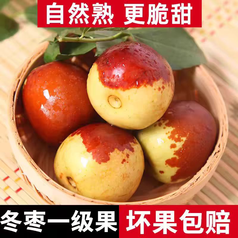 【巨无霸礼品果】沾化冬枣新鲜产地水果5斤整箱山东特产脆甜红枣子