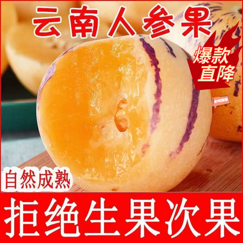 云南石林树上自然成熟人参果黄果黄肉圆果清甜黄果当季新鲜水果