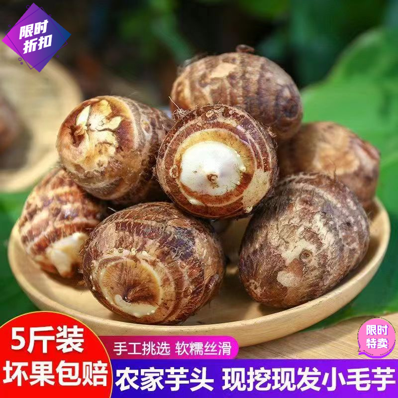 山东现挖【香糯牛奶芋头】批发香芋蔬菜毛芋农家种植精品毛非小香薯
