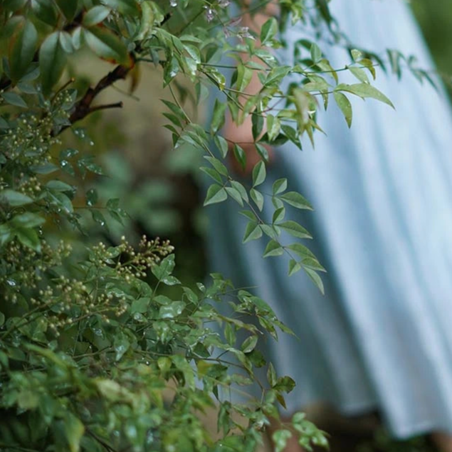 Mooynn/茉零粉丝福利（背心马甲裙子等）