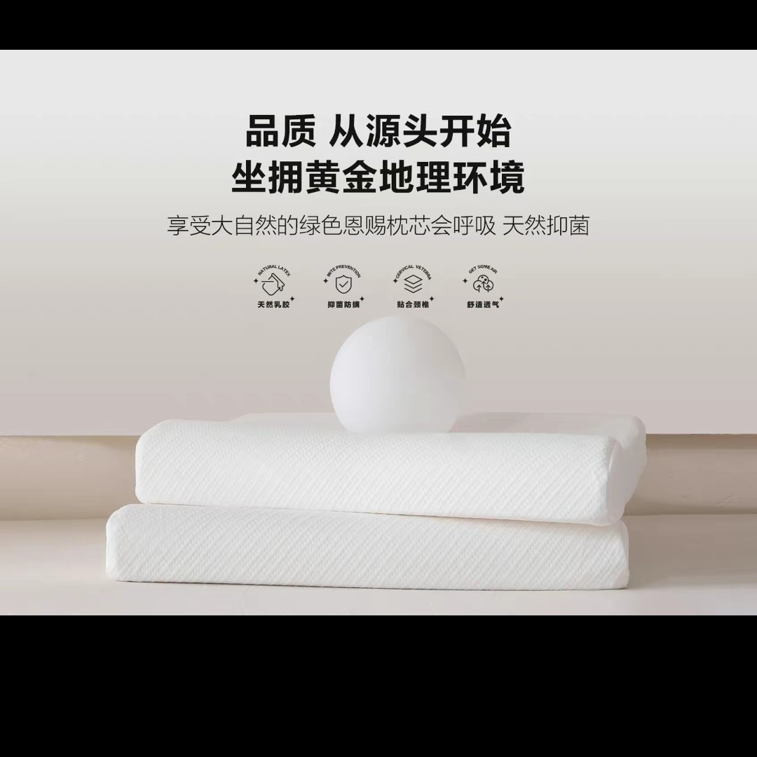 玻尿酸美颜乳胶枕一对