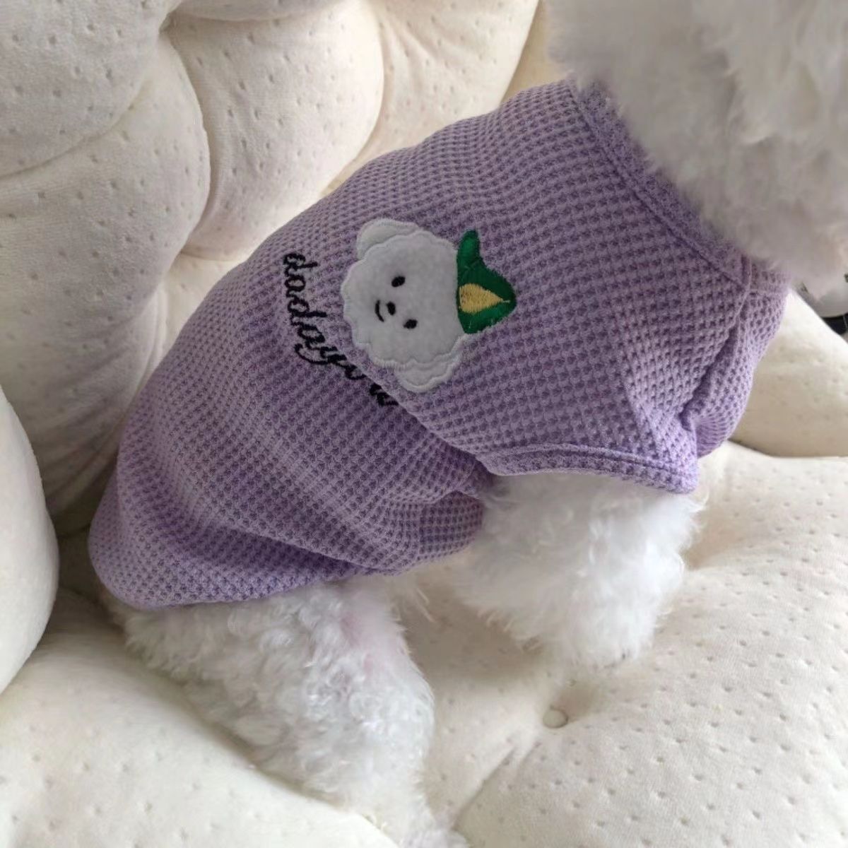 夏季薄款超小透气宠物背心泰迪猫咪蓝猫无毛猫比熊博美狗狗衣服