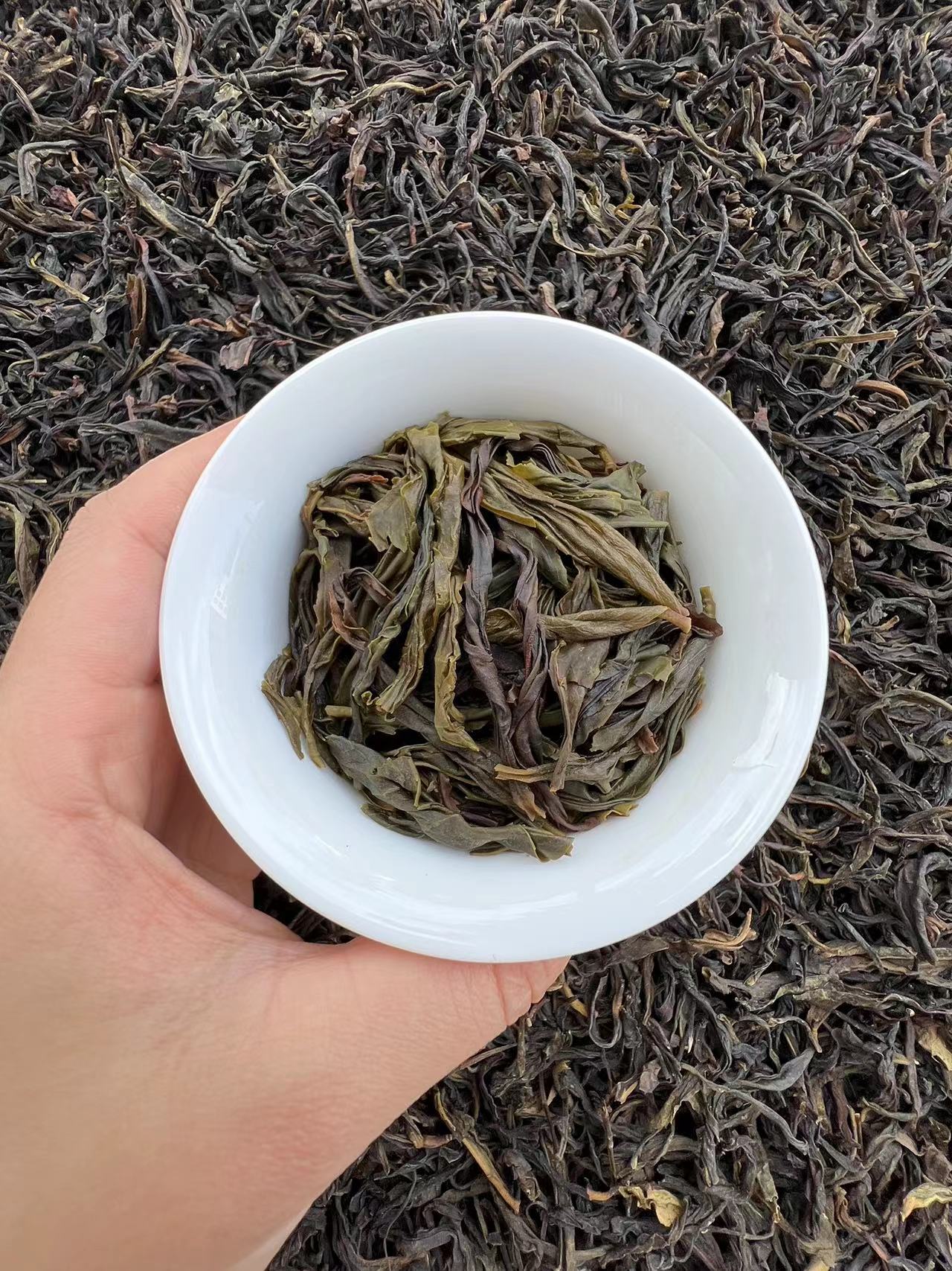 新茶 凤凰单枞茶 黄枝香 清香型 潮州茶叶500克袋装礼盒装清醇