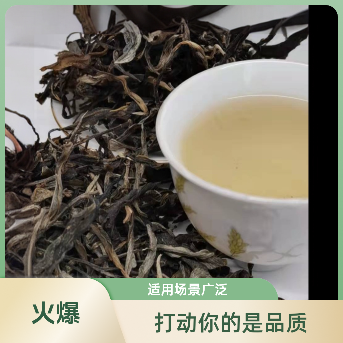 2019年薄荷塘普洱生茶
