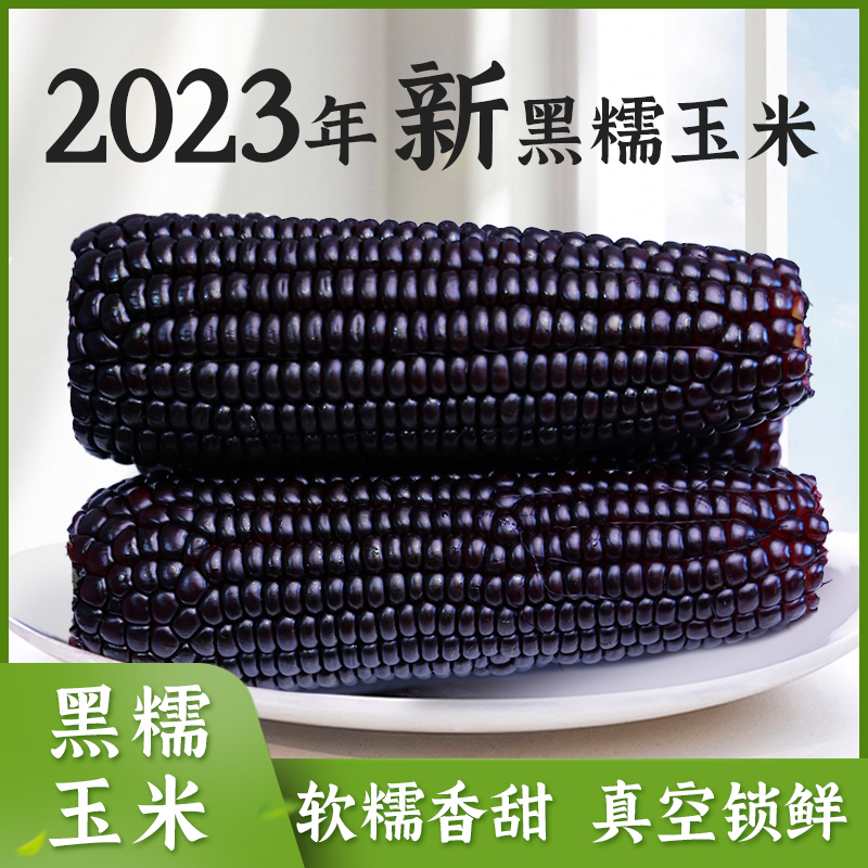 逅甜黑糯玉米新鲜黑玉米甜糯玉米10支220克/根代餐粗粮粘糯糯玉米