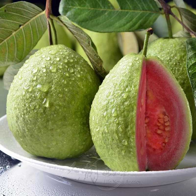 广西红心芭乐番石榴新鲜水果清甜脆口农产品白心芭乐2/3/5/9斤装