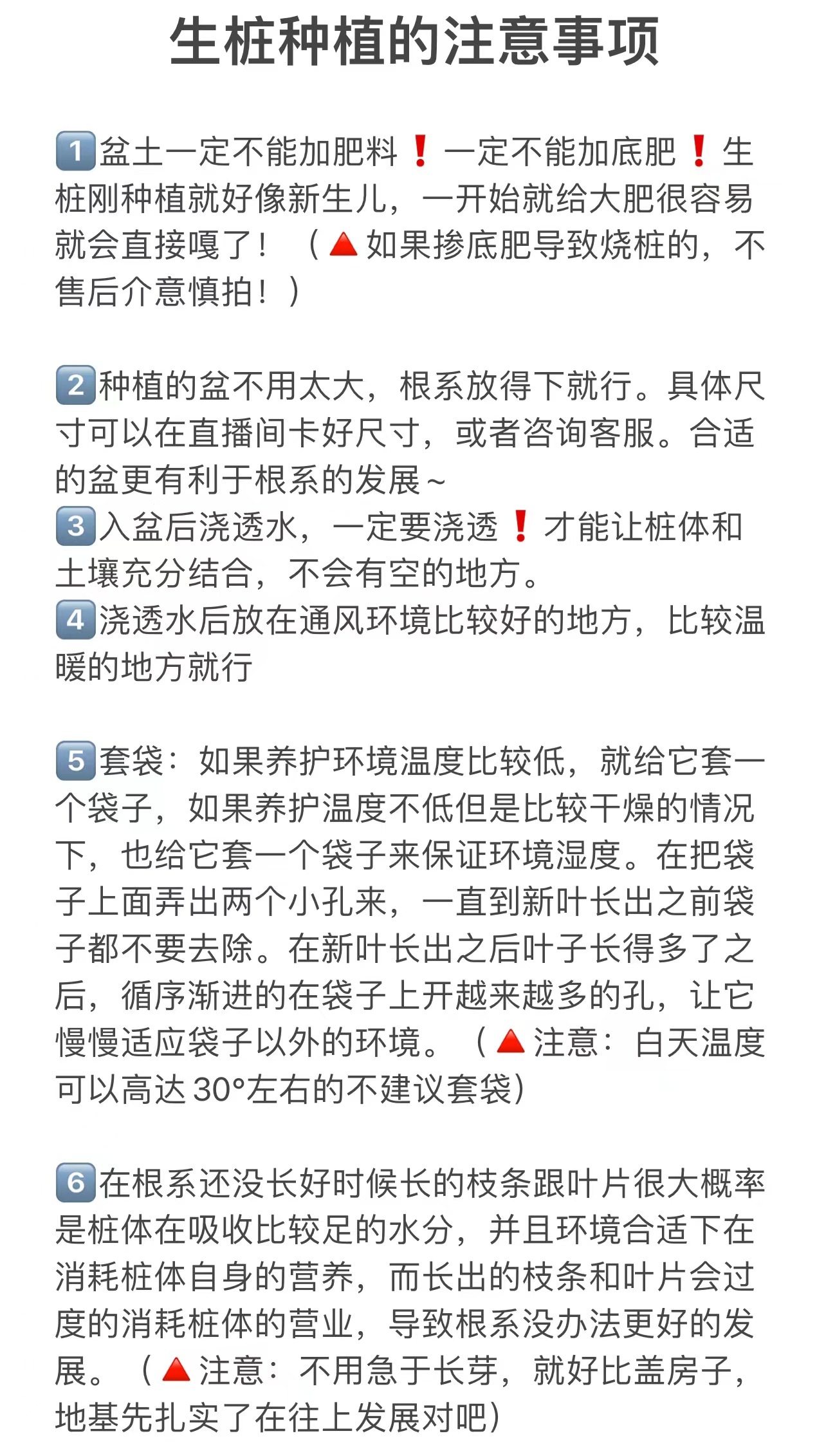 三角梅盆景老桩/生桩【一物一拍，以直播间实物为准】种植容易生长