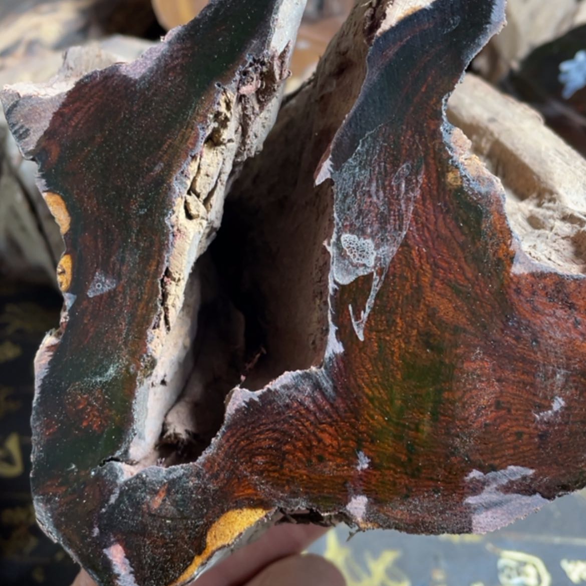 【闪购商品】檀木村*叔村定制1.8