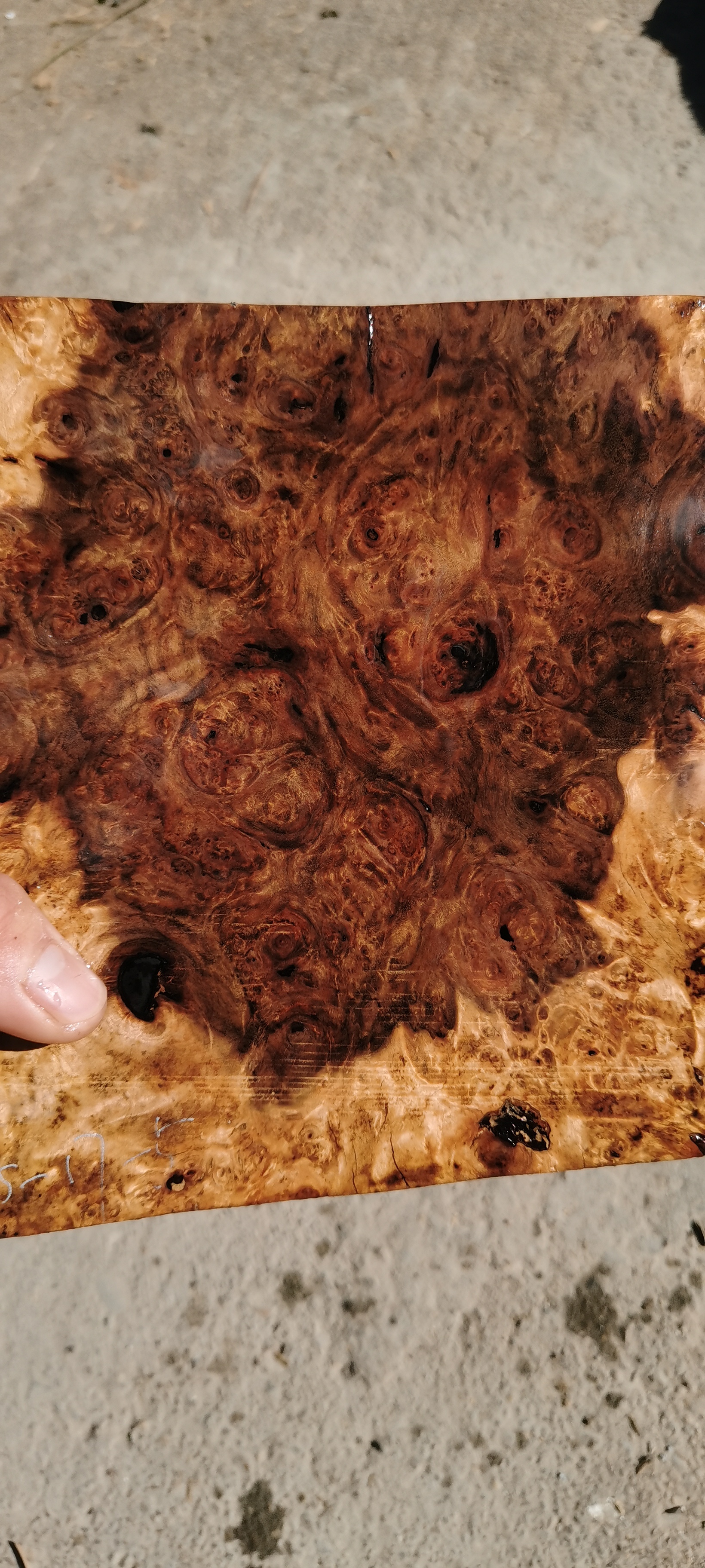 贵州黄花梨留疤料  荧光感超强 17-15-5尺寸 