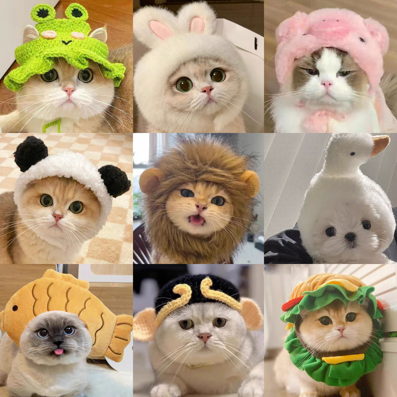 宠物猫咪狗狗网红兔耳朵狮子头套兔子猫猫帽子可爱汉堡头饰装扮