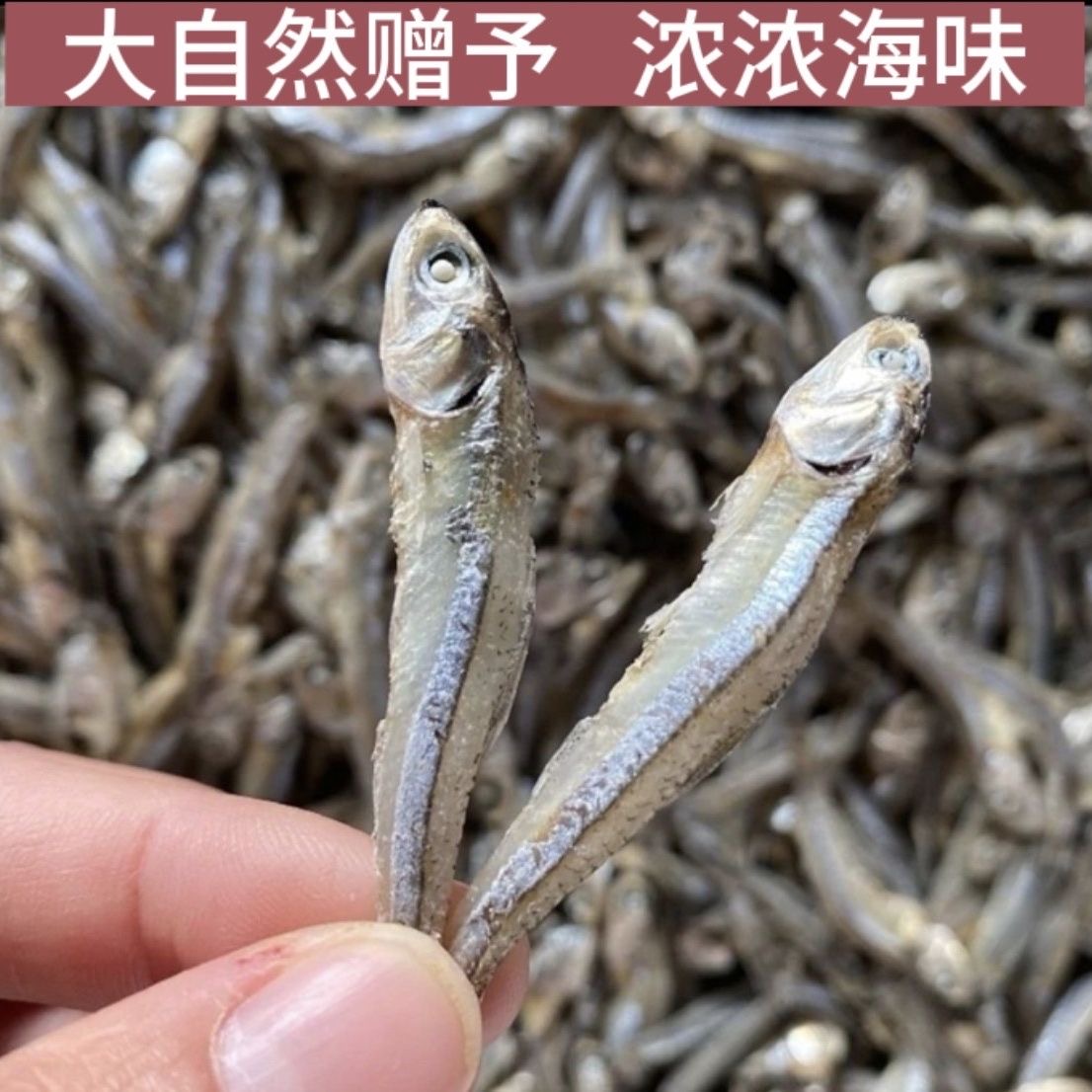 【晒场直发】渔民自晒广东特产公鱼仔小鱼干足干不苦500g丁香鱼