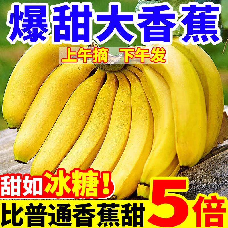 正宗广西高山香蕉新鲜采摘自然成熟软糯香甜直发当季水果绿色芭蕉