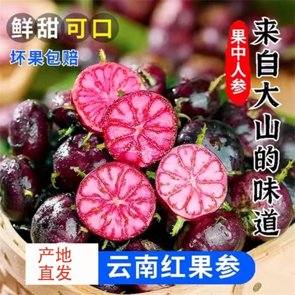 新鲜红果参特大果云南蜘蛛果稀有水果当季现摘现发红参果黑果