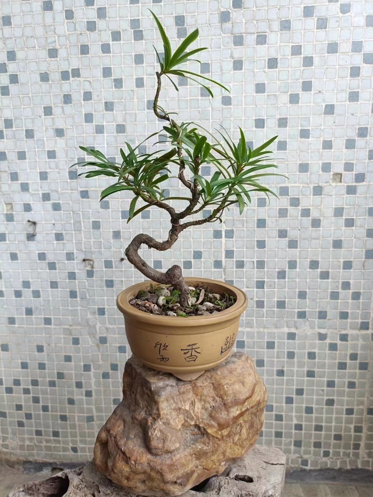 2号商品链接（老石湾花盆、瓷盆、紫砂盆、摆件、杂件、奇石等）