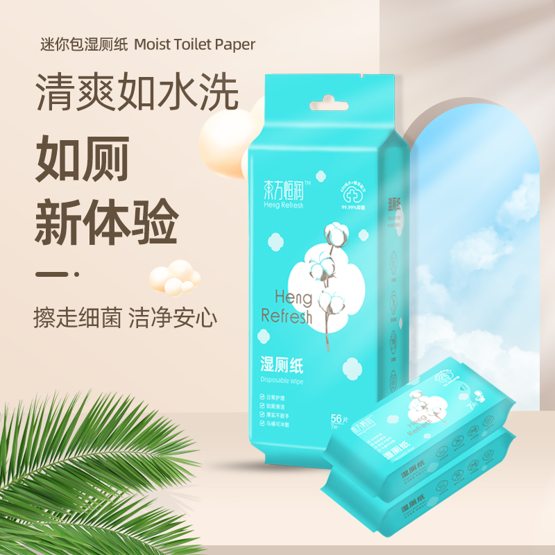 湿厕纸mini小包便携私处擦屁股卫生洁阴湿巾洁厕纸巾可冲马桶痔疮