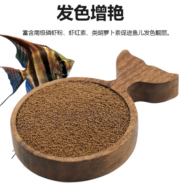珍妮莫罗高埃及神仙鱼 七彩神仙鱼燕鱼 鱼粮 鱼饲料 