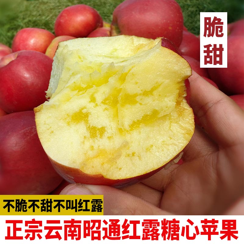 2025年正宗云南红露糖心脆甜多汁云南糖心云南云南昭通正宗丑苹果
