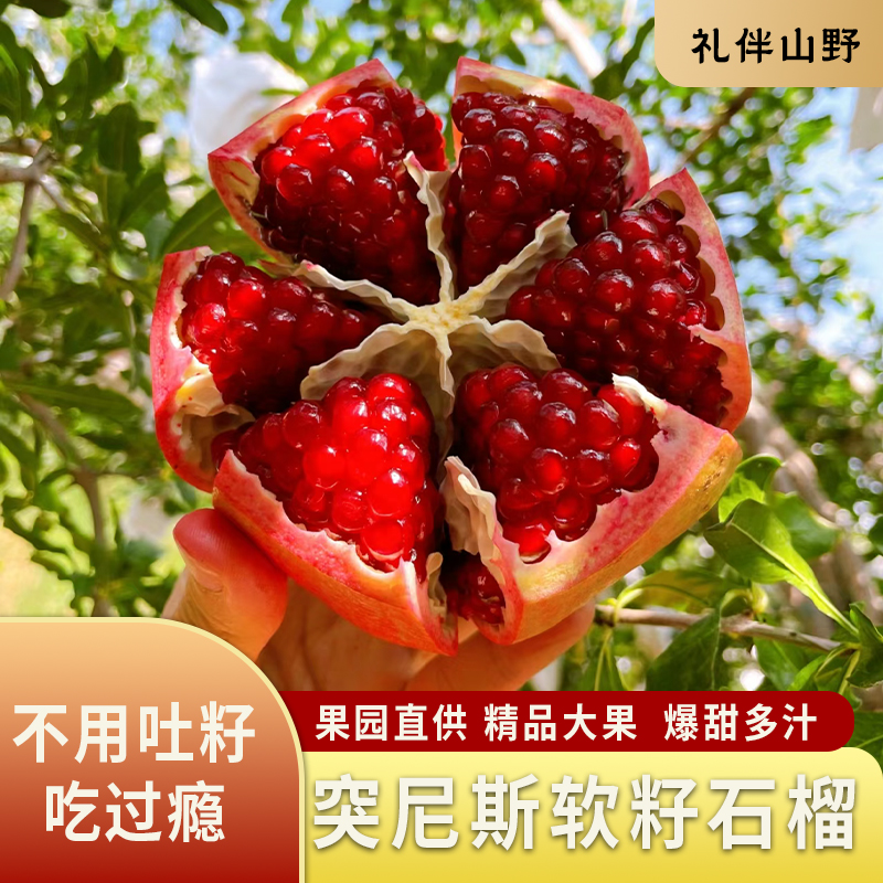 【精品】正宗大凉山会理软籽石榴5.2/7.5斤新鲜采摘饱满爆汁包邮