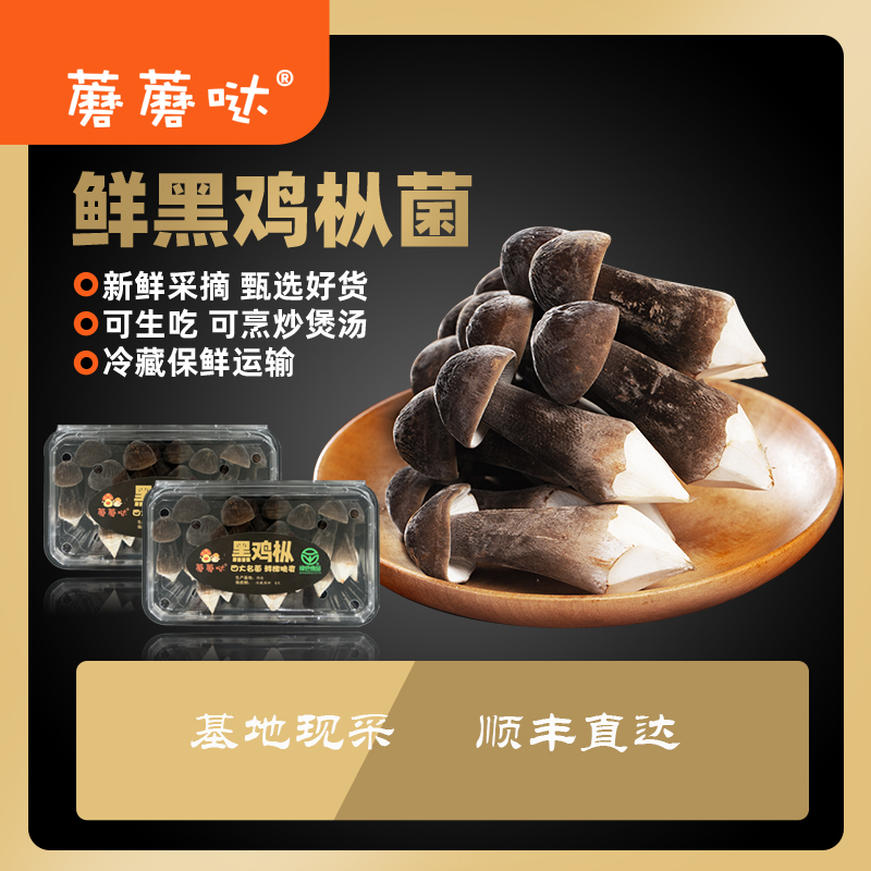 蘑蘑哒蘑蘑哒黑鸡枞  500克   鲜香脆爽 营养丰富