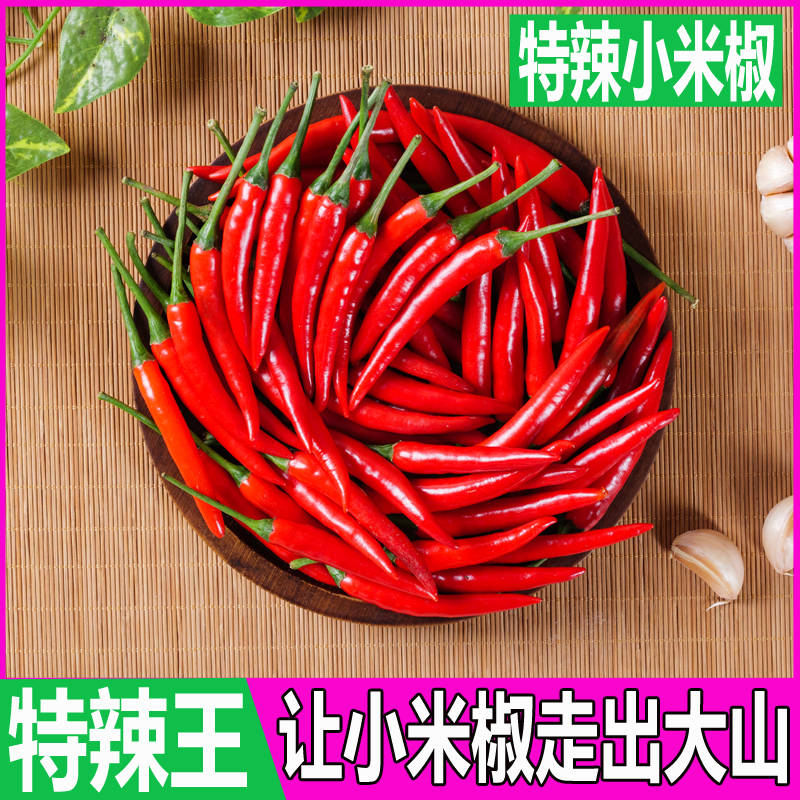 高山新鲜采摘新鲜特辣小米椒市场商超餐饮批发香辣红小米椒朝天椒