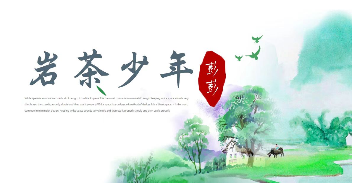 【岩茶彭彭】武夷岩茶 商品改价链接4